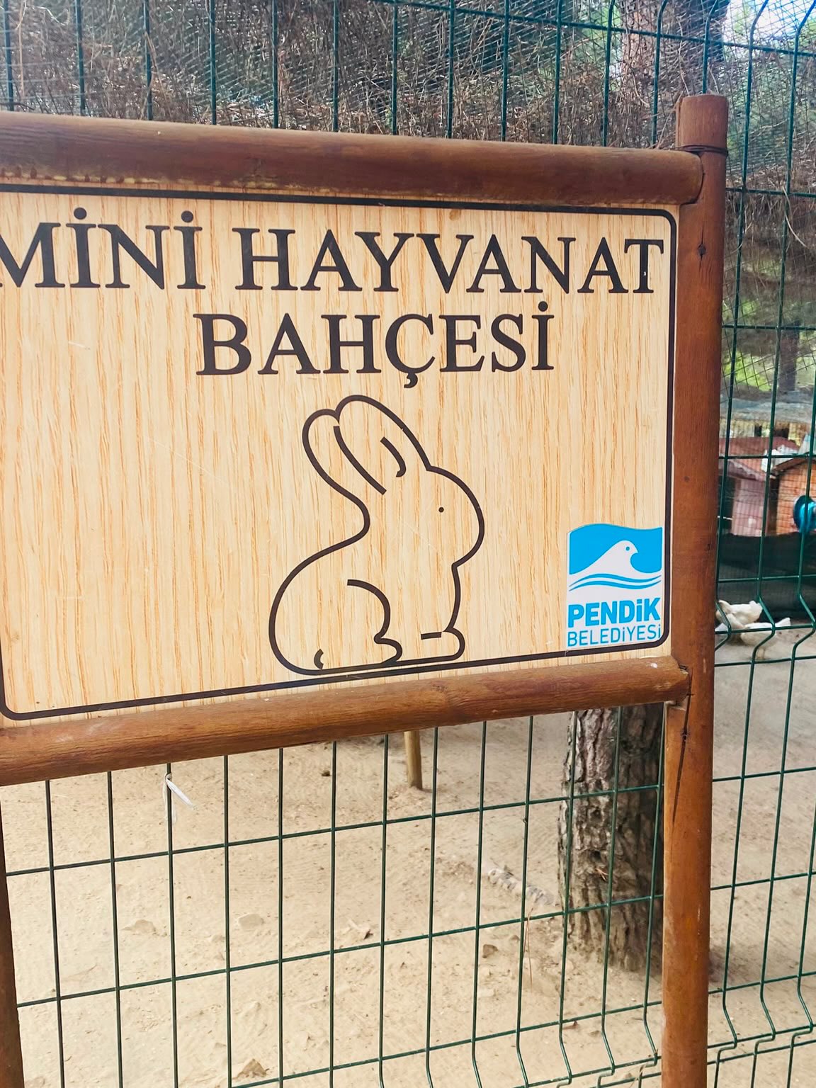Özel Mavi Şelale Anaokulu Galeri 7